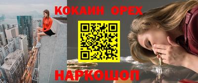 гашик Кимры