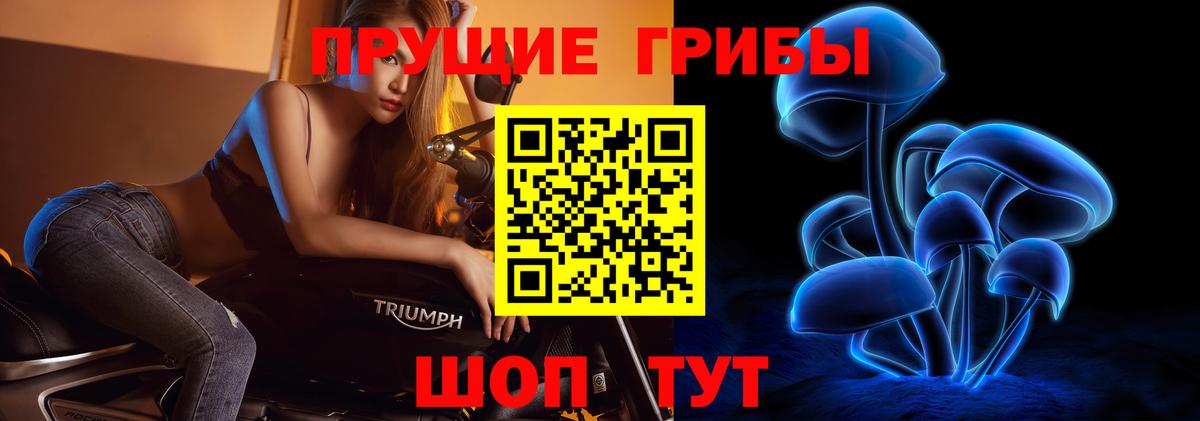цены наркотик  Псилоцибиновые грибы Magic Shrooms  Вход с VPN  Донской 